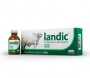 Foto 01: Landic