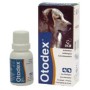 Foto 01: otodex